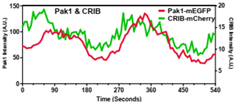 Marcus Harrell tweet media