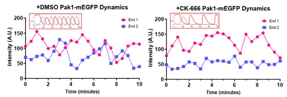 Marcus Harrell tweet media