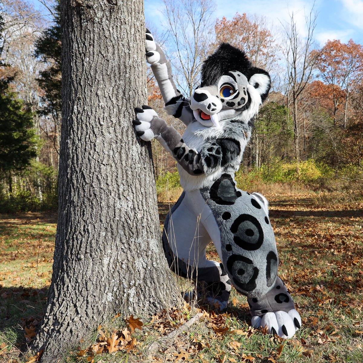 COLORCARNAGE's tweet photo. 🩵 AURORA THE SMILODON 🩵

Fullsuit commission for @Aurora__Fatalis 

Definitely my most complex work yet, with a ton of spots &amp; some really fun padding! 

#FursuitFriday https://t.co/P3W5JC34zT