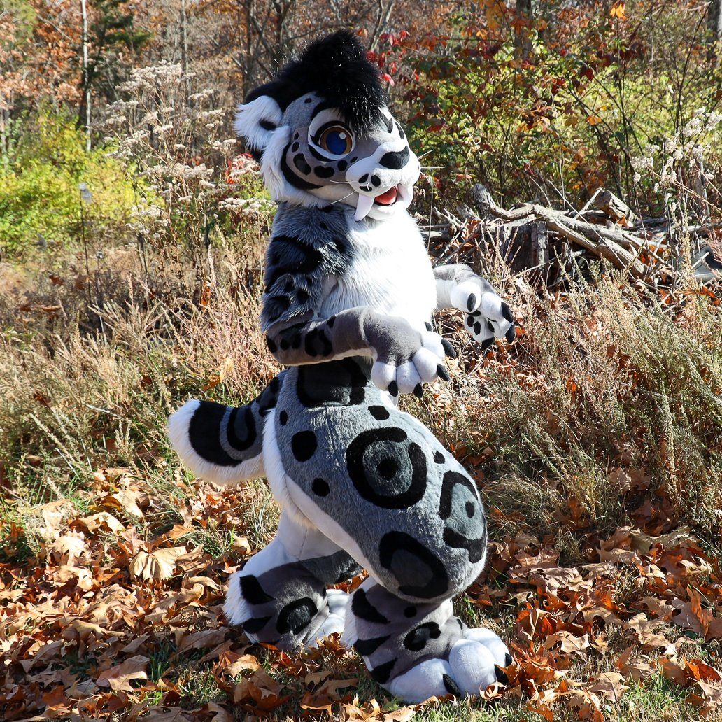 COLORCARNAGE's tweet photo. 🩵 AURORA THE SMILODON 🩵

Fullsuit commission for @Aurora__Fatalis 

Definitely my most complex work yet, with a ton of spots &amp; some really fun padding! 

#FursuitFriday https://t.co/P3W5JC34zT