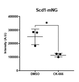 Marcus Harrell tweet media