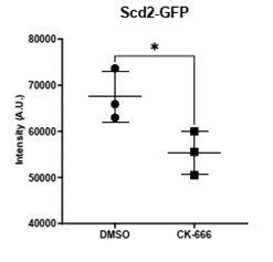 Marcus Harrell tweet media