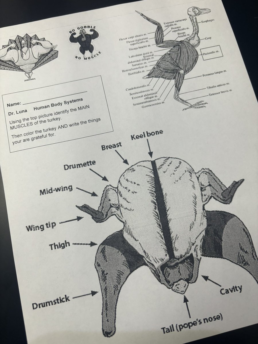aluna0707's tweet image. Added a little 🦃 to today’s lesson (Turkey Anatomy and what we are grateful for) 🍁 #drlunasclass  #SEHStheBest #fallisintheair #SanEliNation #SEISDinspires #youdidntbringyourbackpack