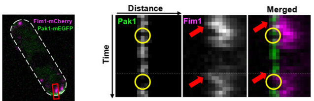 Marcus Harrell tweet media