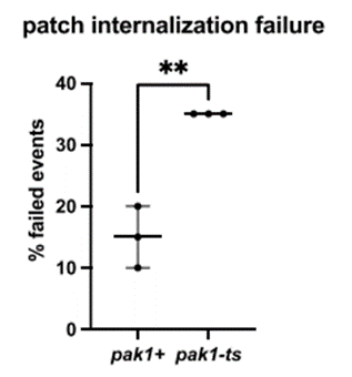 Marcus Harrell tweet media