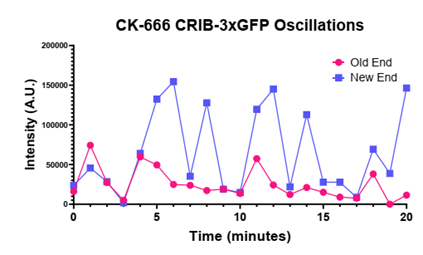 Marcus Harrell tweet media