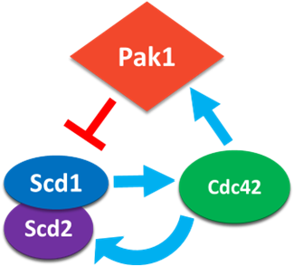Marcus Harrell tweet media