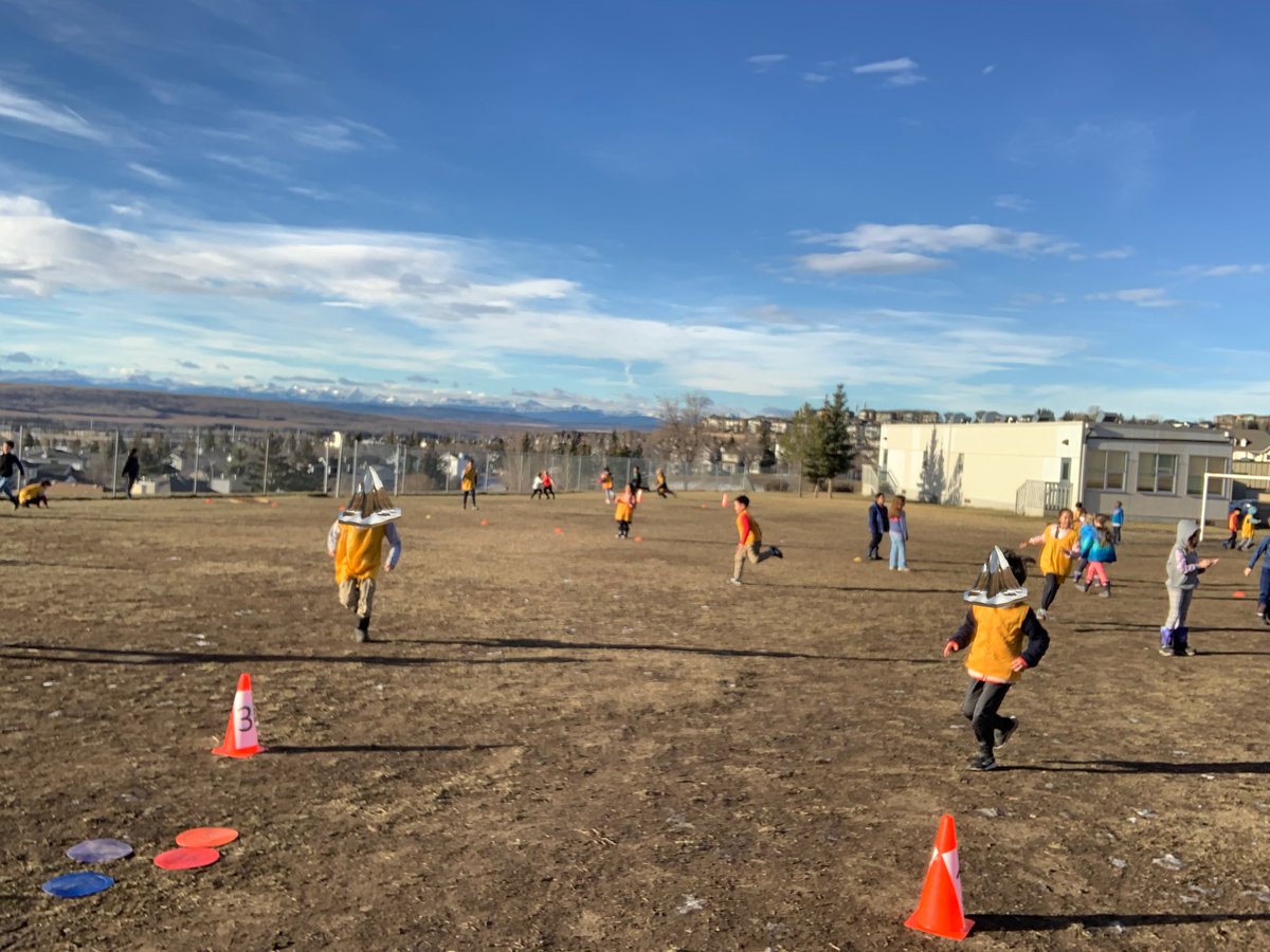 BPSHawksPE tweet media