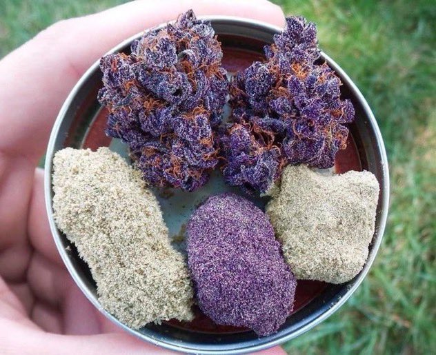 A beautiful selection! 🍋🍇😍

#StonerFam #Mmemberville