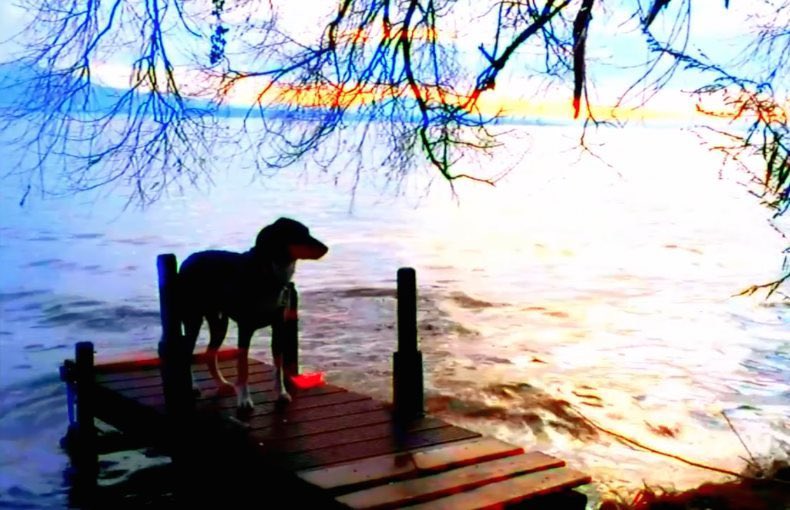 Satu

GOODBYE TO LANGUAGE - 7:30pm: Godard reimagines the possibilities of 3D with the help of his dog. Jealous lovers, metacinema etc

MILLER’S CROSSING - 9:15pm on 35mm: Gabriel Byrne loses his hat and gets beat up a lot in the Coen Bros rearticulation of the gangster genre.