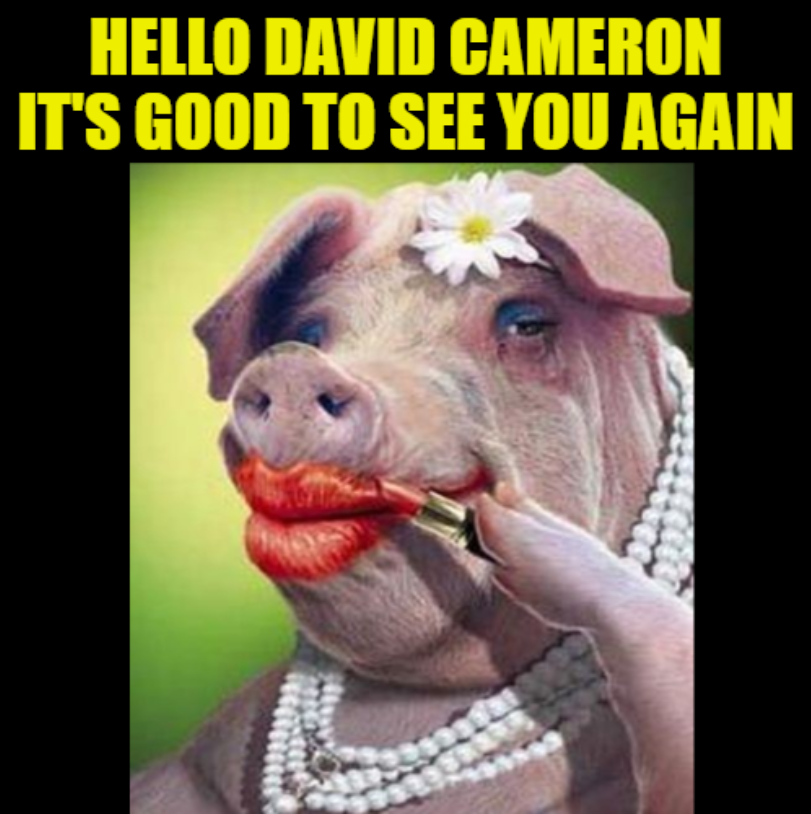 Dr___H___Lekter's tweet photo. #ToriesOut498 #DavidCameron #ReturnOfTheCam #thelastleg .@TheLastLeg
David Cameron Greensill Dodgy Dave
-
-
GREENsill GREENsill GRASS (George Ezra)
#DodgyDave - FUCK-PIG https://t.co/mGSmPxE47a