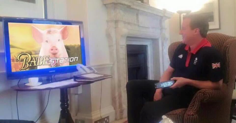 missbarkel's tweet photo. #ReturnOfTheCam @thelastleg green jelly -3 little pigs https://t.co/54kxg17RAt