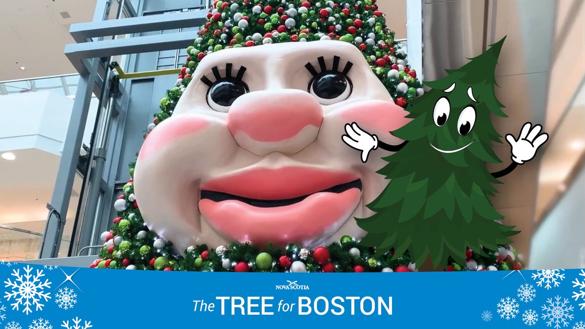 TreeforBoston's tweet photo. Join me tomorrow morning at @micmacmall in Dartmouth bright & early to say hi to @WoodyXmasTree. It will be so much fun waking him up. But I'll miss the Parade of Lights this year as a storm is going to rain on our parade.
#NSFriendsForBoston #TreeForBoston https://t.co/u2zOUMbF3g