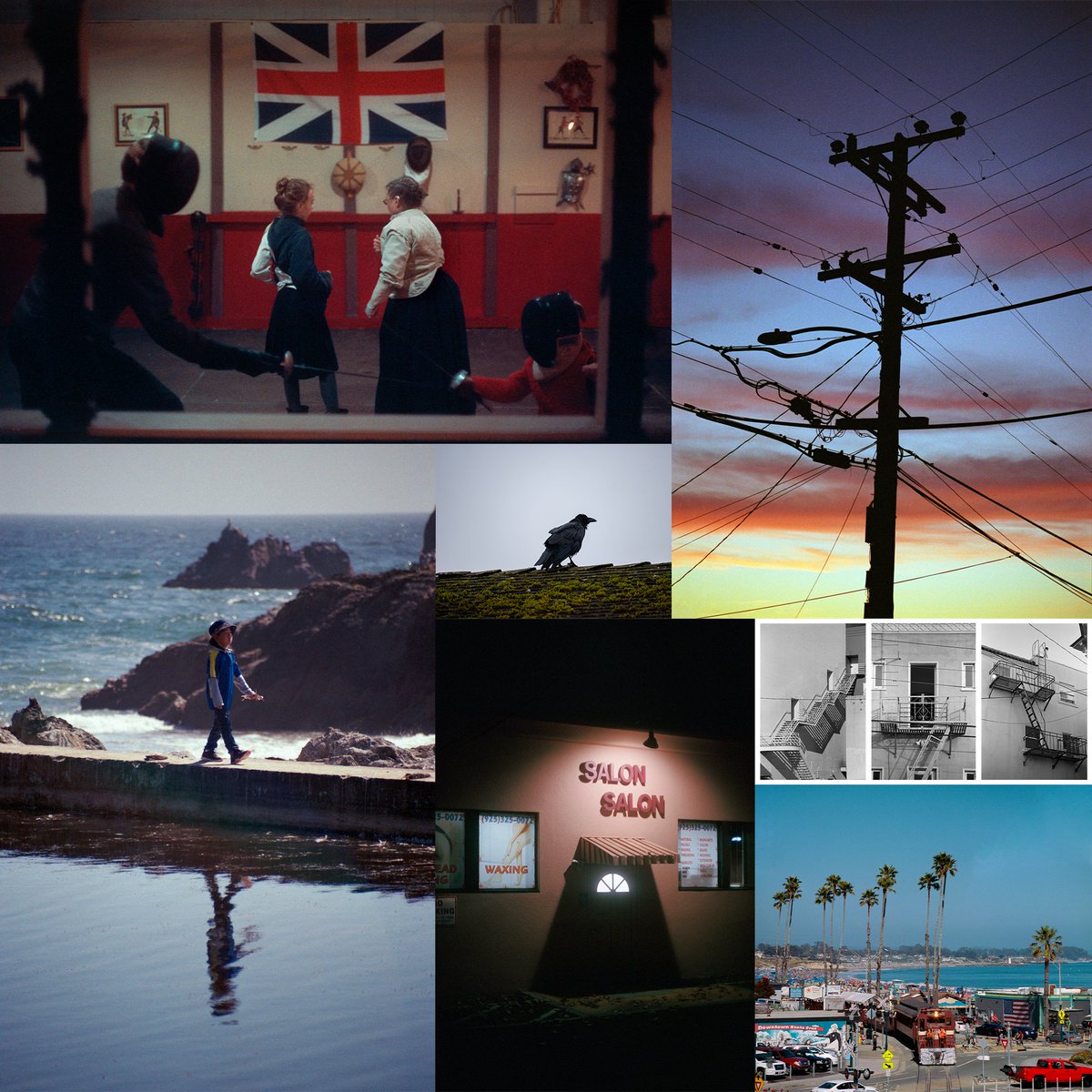 Haley Masch tweet media