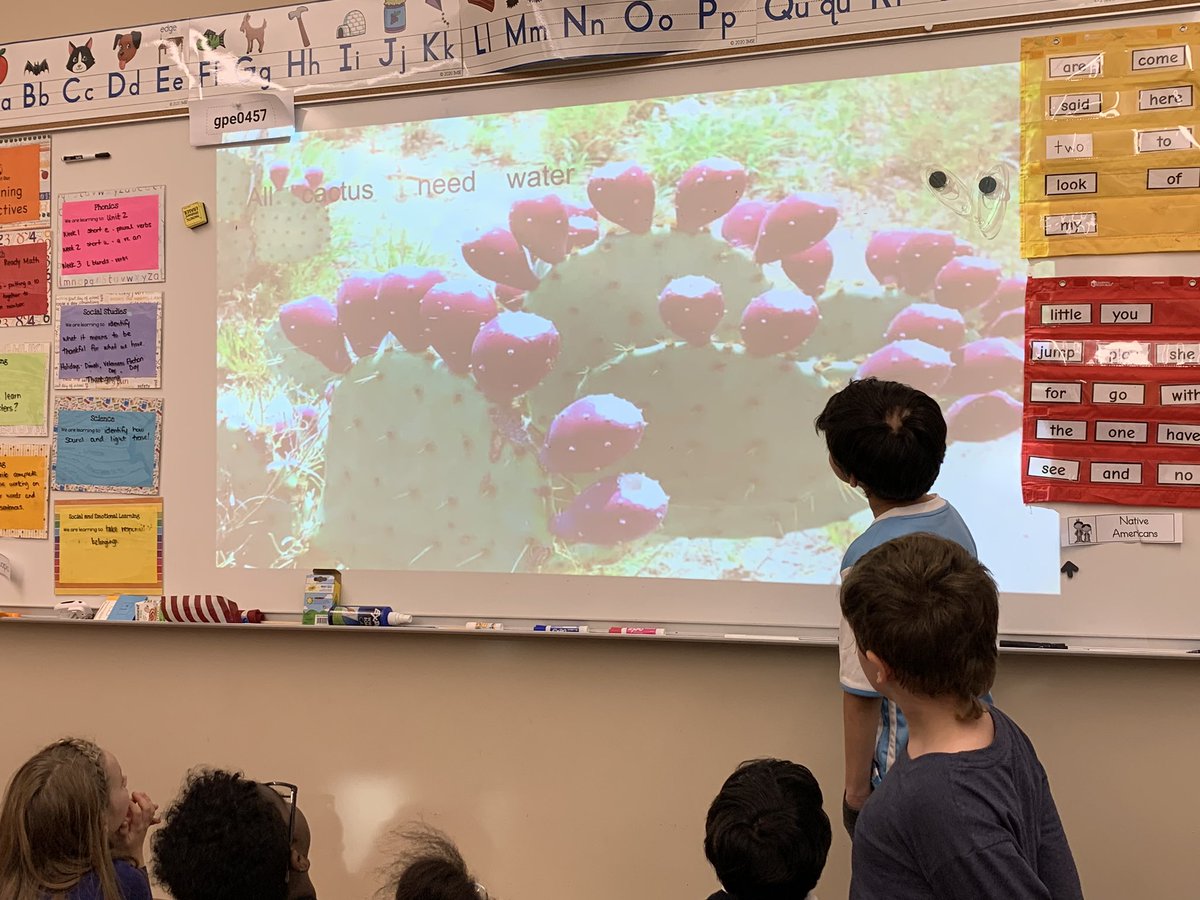 I had the pleasure of joining Mrs Ellmyer's grade 1 class today when they shared their well researched presentations with me. During our current Benchmark unit, students learned about life cycles during their reading and writing language arts blocks! I learned so much!
