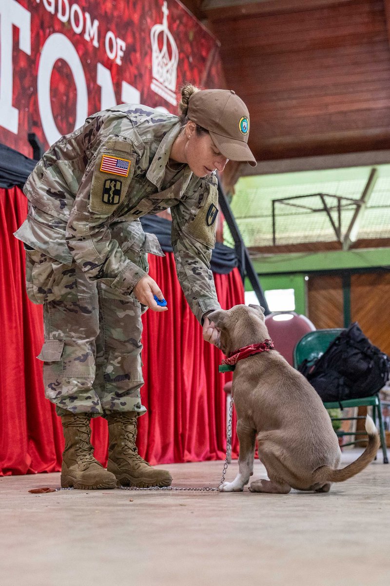 🇺🇸–🇹🇴

Pacific Partnership veterinarians conduct canine training during #PacificPartnership23, the largest annual multinational humanitarian assistance preparedness mission in the #FreeAndOpenIndoPacific.

📍: #Tonga

📸: MC2 Megan Alexander
