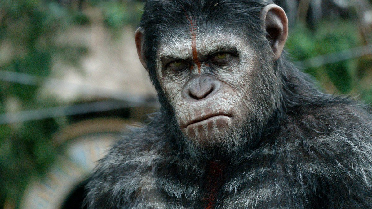 TezcaKoatl's tweet photo. Hazel🐰 de #WatershipDown
Cesar🐒 de #PlanetOfTheApes
Padak🐟 de #Padak https://t.co/jvYYvB7DI4