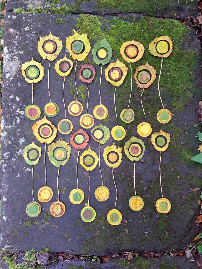 TimPughArtist's tweet photo. Llwyau.Deilen Cyll/Onnen. 
Yeathouse Platfform gorsaf,Cumberland. #cyll #onnen #hydref #lliw #lliwiaeth https://t.co/QUYJejhGZ8