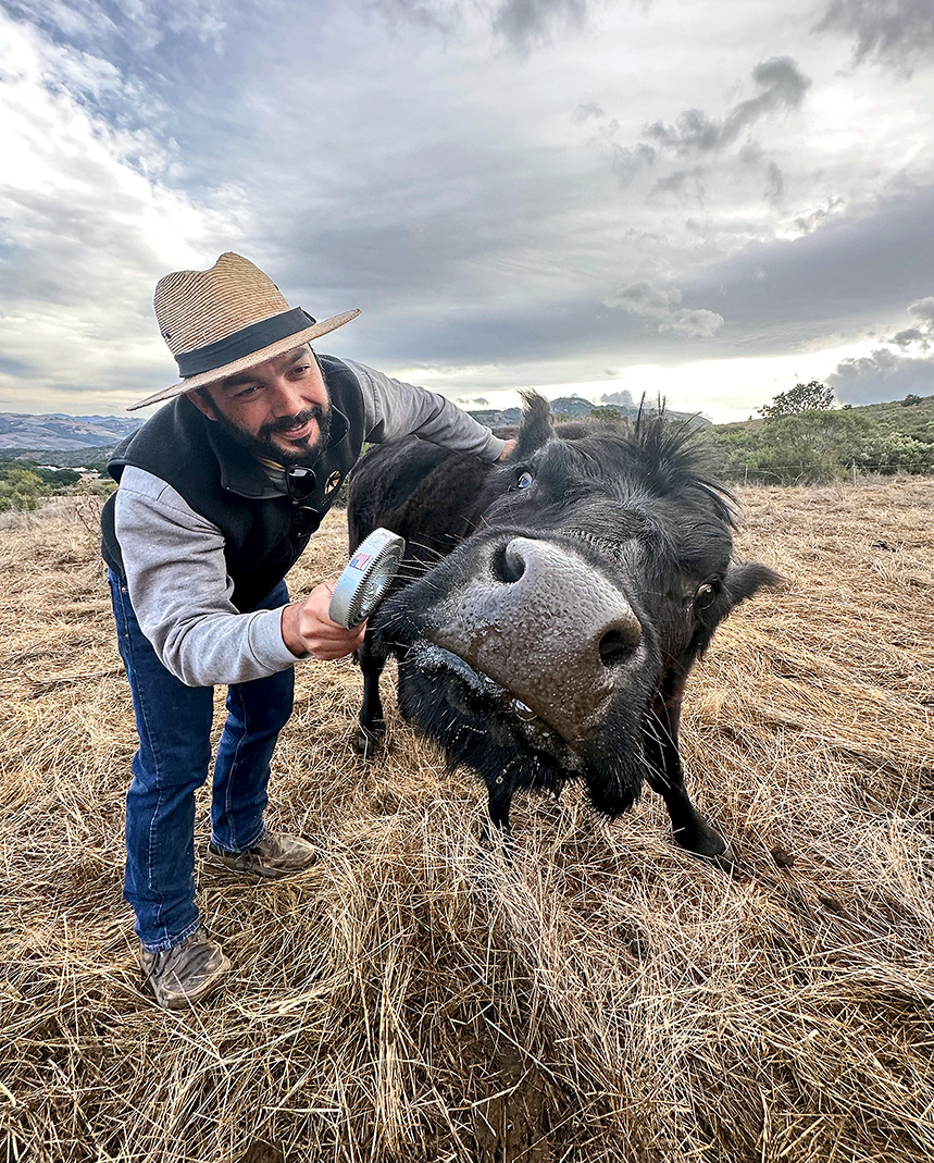 Santa Lucia Conservancy tweet media