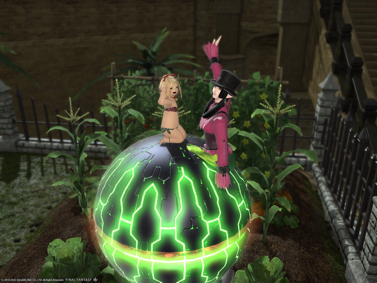 ff14_gno's tweet photo. リストから名前を見つけて訪ねてきて下さって嬉しい。
私が娘なら、あなたは母。
「一緒に乗っている風に見える」SSはもう少し研究が必要ですね。 https://t.co/z6UO5id2yV