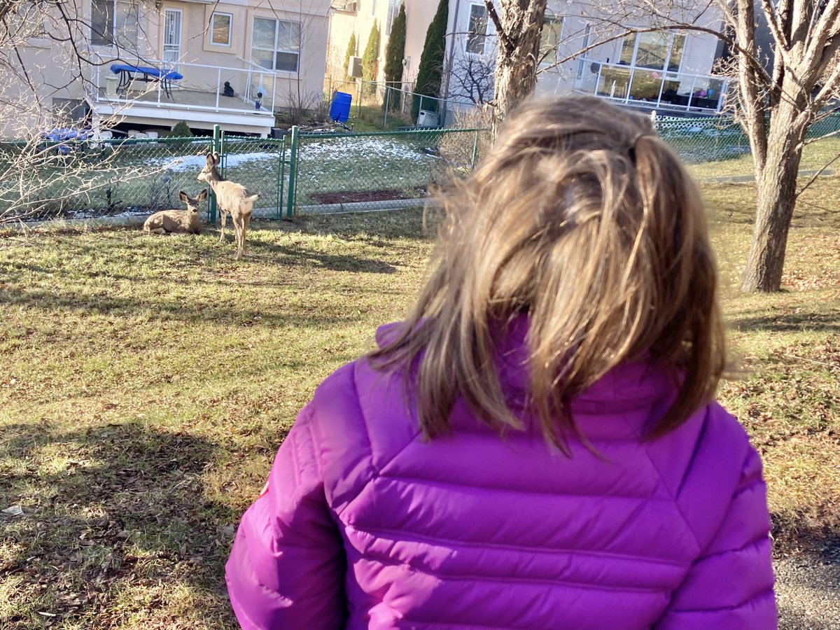 BPSHawksEES tweet media