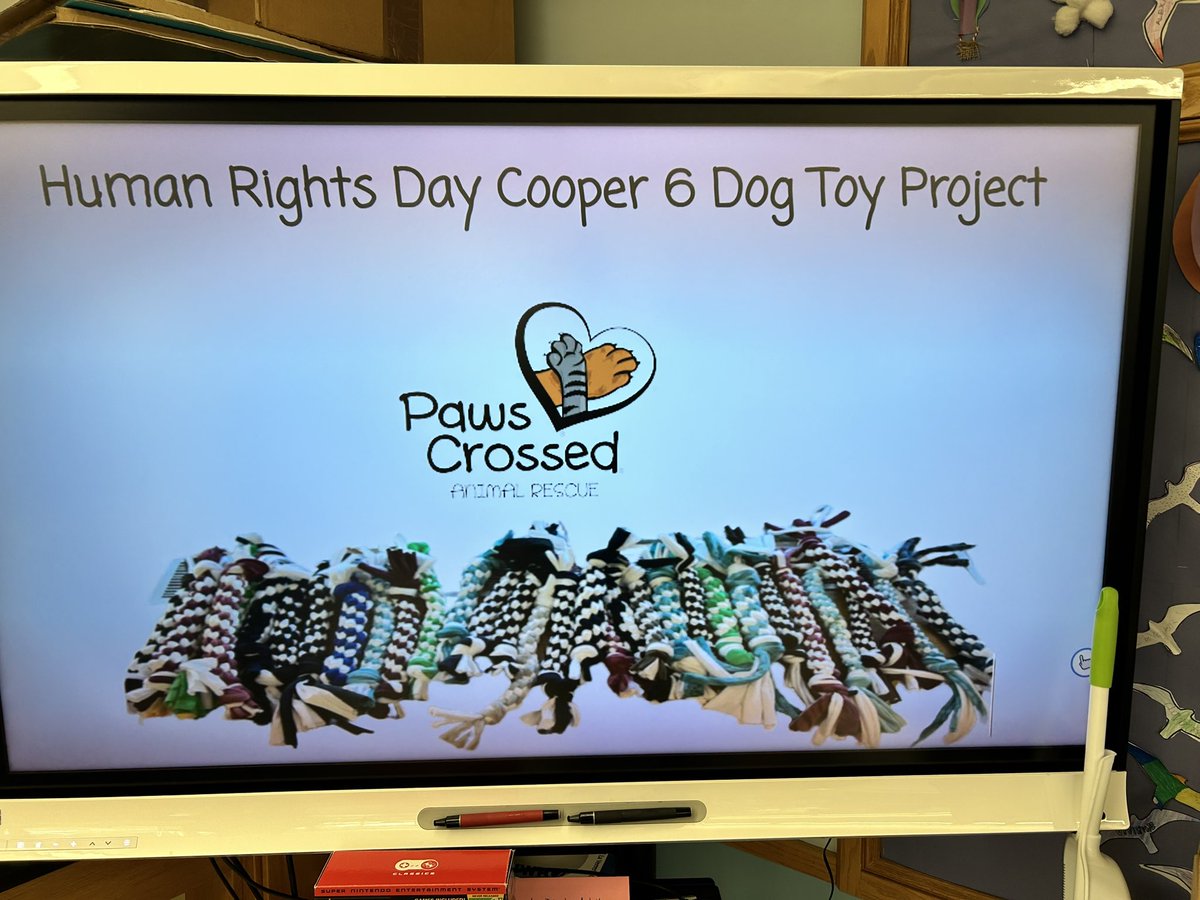 Cooper6Sms's tweet photo. What an amazing Human Rights Day! A spectacular visit from @HappinessisNOWx and our students created dog toys as a fundraiser for @Pawscrossedny #scarsdalemspride https://t.co/Ca4wPAKAF9