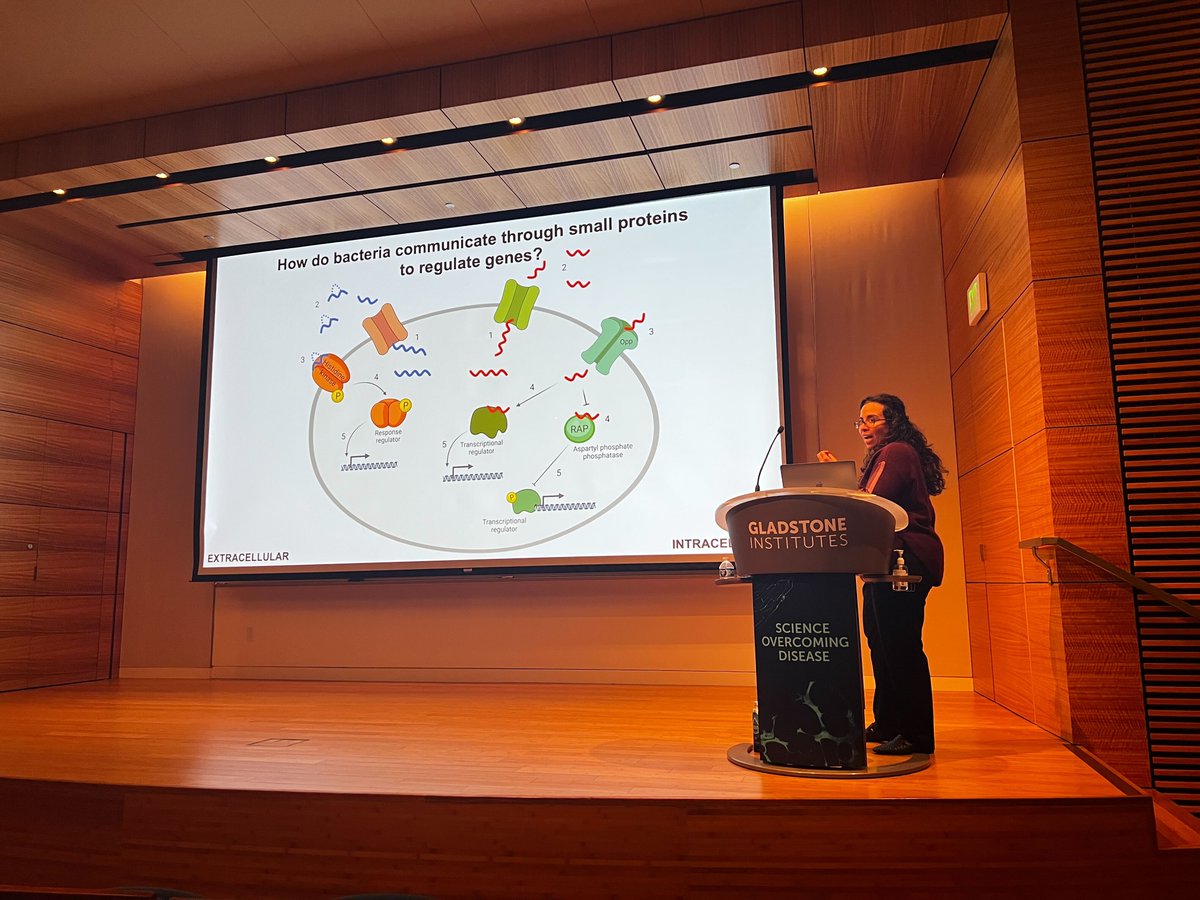 Keynote Speaker <a href="/Soumees/">DrSouZ</a> giving an excellent talk on novel peptide based communication system in enterococcus faecalis!!