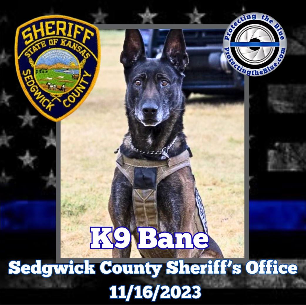 Pct4Constable's tweet photo. The men and women of Constable Mark Herman's Office extend their heartfelt condolences to the Sedgwick County Sheriff's Office as they mourn the loss of K9 Bone, who was murdered when he was strangled to death while apprehending a suspect wanted for robbery and domestic violence. https://t.co/ziOh6AyZTR