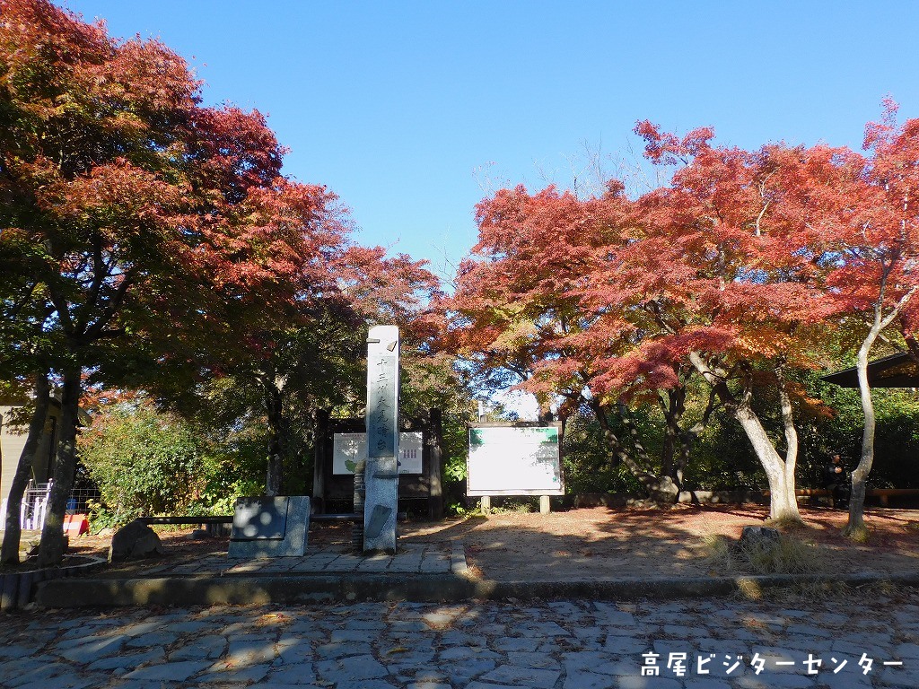 takaovc's tweet photo. 天気：晴　気温：8.0℃　富士山展望：〇

高尾山山頂は ＃紅葉 の見頃を迎えました🍁ビジターセンター横や広場のモミジはとっても綺麗！7時台には富士山と雲海が見られていましたよ✨
山頂以外の紅葉情報はこちらからご確認いただけます↓
https://t.co/xOXXsQ4TMA

＃高尾山　＃高尾ビジターセンター https://t.co/ha2VEwOpl2