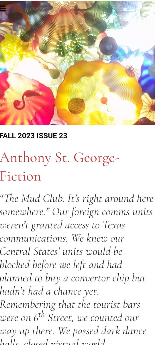 Post civil war politics and all-night raves make up the dystopian America created by the writer Anthony St. George @asgriobadh in our Fall 2023 Issue. Check it out thievingmagpie.org #thievingmagpie #literarymischief #fiction #poetry #art #photography #essays #dystopia