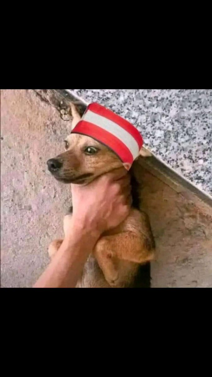 mister__emir's tweet image. Seda sorry Abba🥺💔😂😂