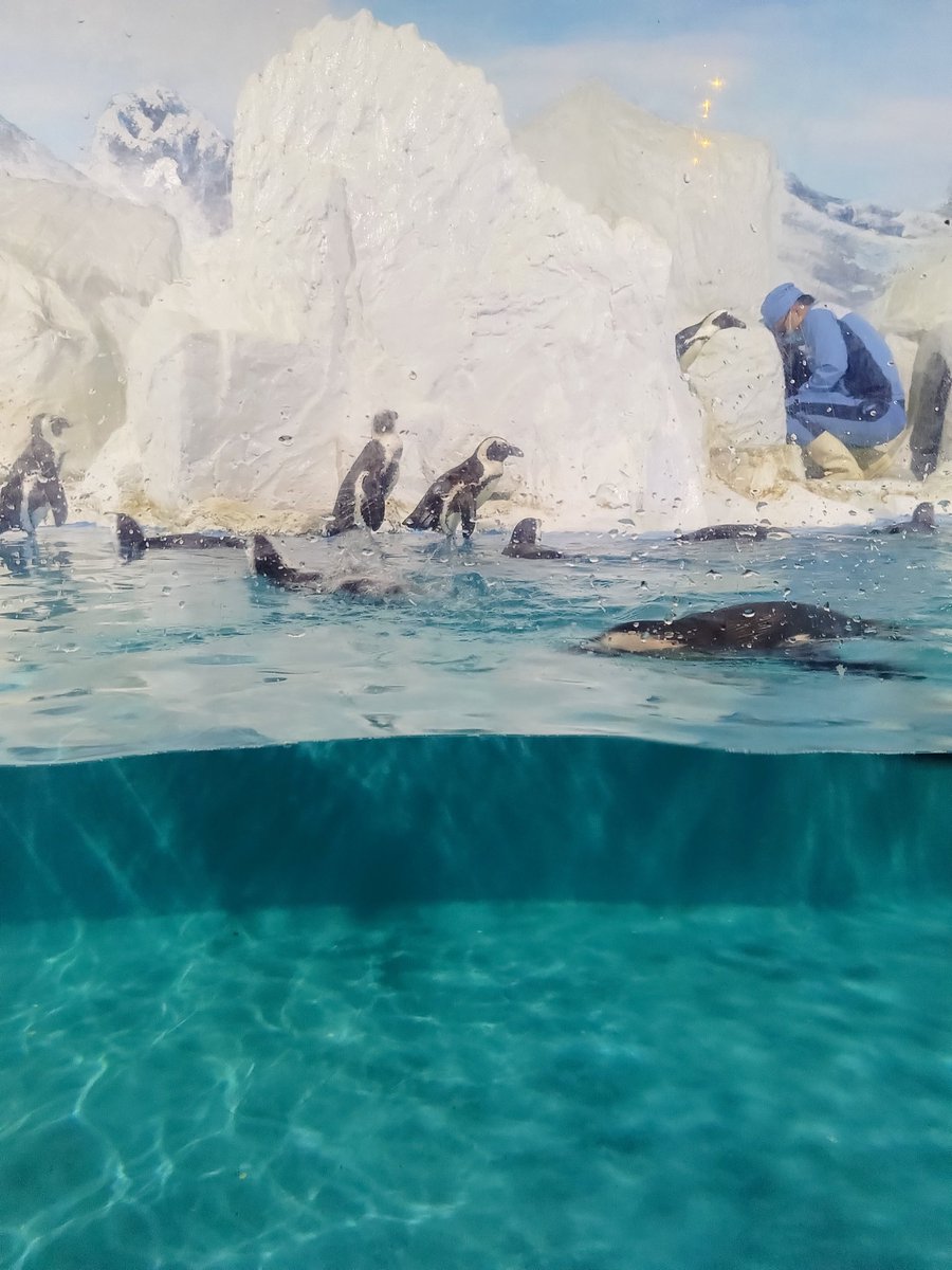 Ngày mới vui vẻ tràn đầy năng lượng ạ.