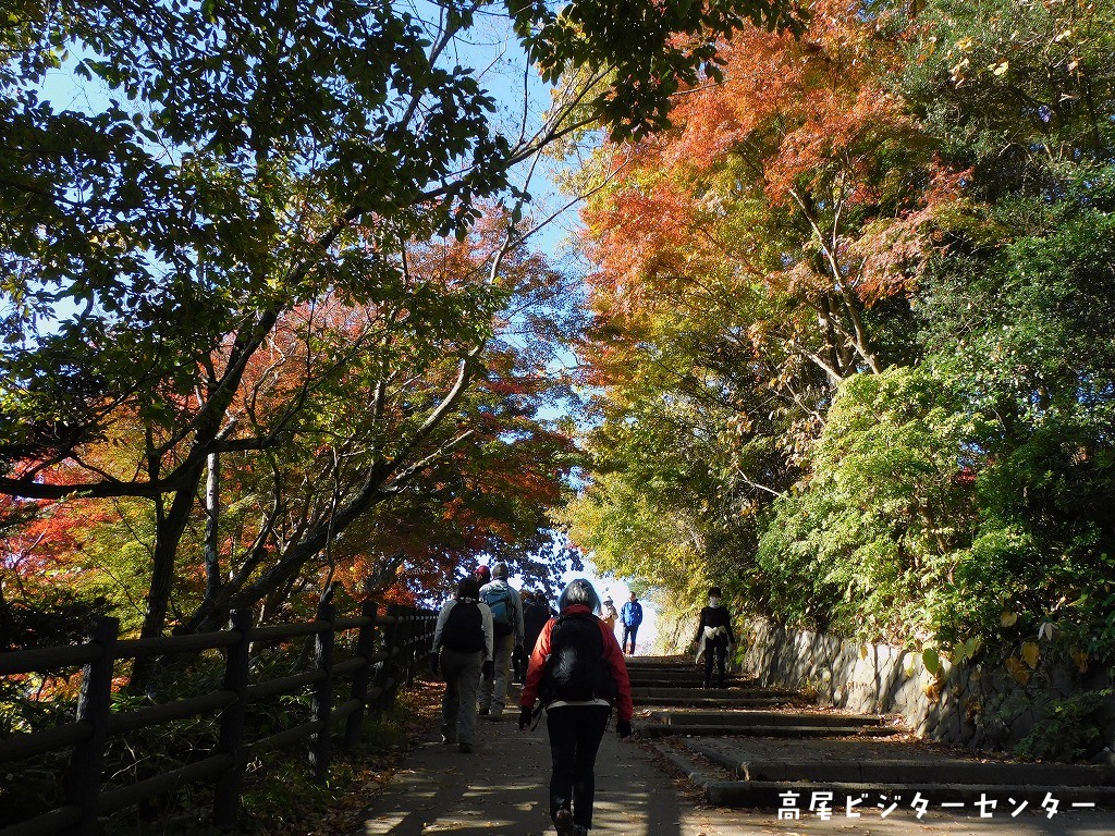 takaovc's tweet photo. 天気：晴　気温：8.0℃　富士山展望：〇

高尾山山頂は ＃紅葉 の見頃を迎えました🍁ビジターセンター横や広場のモミジはとっても綺麗！7時台には富士山と雲海が見られていましたよ✨
山頂以外の紅葉情報はこちらからご確認いただけます↓
https://t.co/xOXXsQ4TMA

＃高尾山　＃高尾ビジターセンター https://t.co/ha2VEwOpl2
