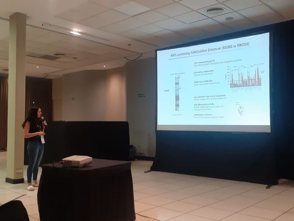 ArztLab's tweet photo. 3/3 today #SAIC2023 ➡️@ArztLab researcher @marianfuertes introduces her research line about #PTTG regulation during the cell cycle selected for the Fundación Honorio Bigand- Young Investigator award🏆! https://t.co/SnYcAXG3of