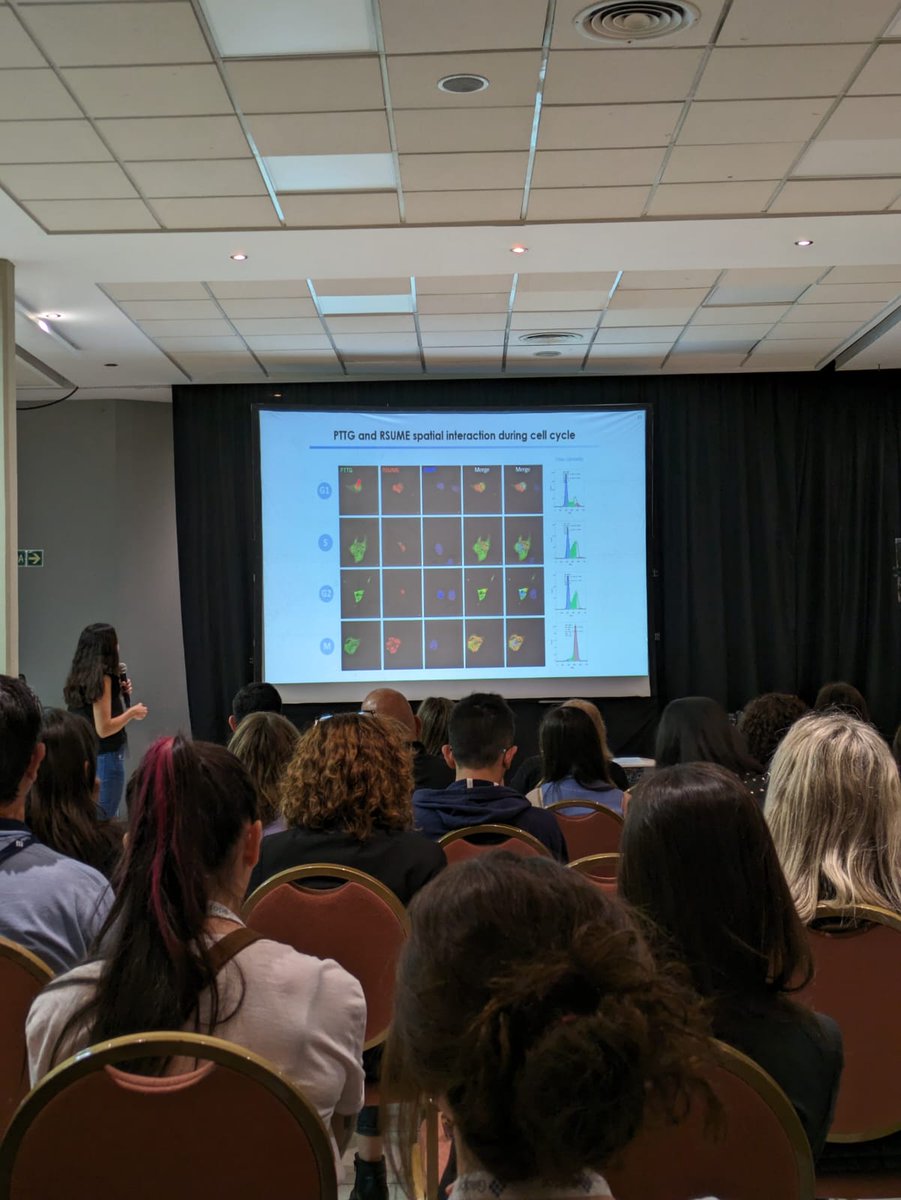 ArztLab's tweet photo. 3/3 today #SAIC2023 ➡️@ArztLab researcher @marianfuertes introduces her research line about #PTTG regulation during the cell cycle selected for the Fundación Honorio Bigand- Young Investigator award🏆! https://t.co/SnYcAXG3of