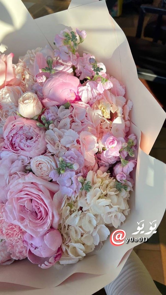 ••ᘓ᭄⍣⃝ ˓٭˛✿|• 𓏲••𝒴ℴℴ𝓈𝓊𝒻••♥ tweet media