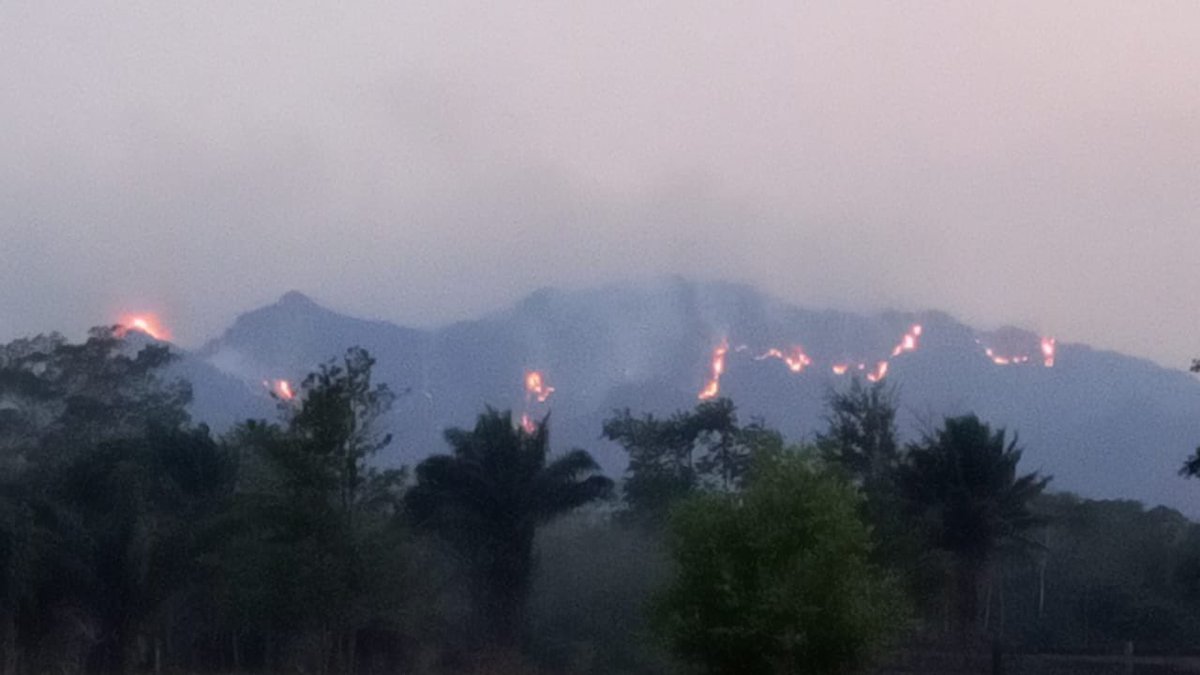 #SOSAreasProtegidas #Madidi, #Tariquia, #PilonLajas, #Tipnis, s/solo algunas de las 22 APs incendiadas en #Bolivia. Desde 21Oct informamos q’ área núcleo del Madidi ardía,hoy arde la espectacular e icónica #SerraníaBala y comunidades indígenas en la #Amazonia. DESASTRE NACIONAL!!