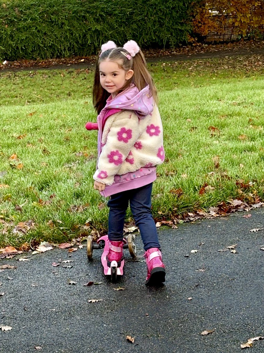 Bev Reilly 🌈🦋 tweet media