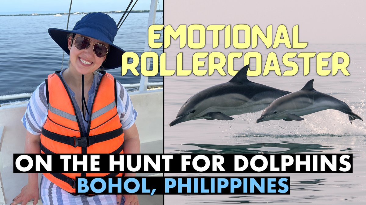 NEW VIDEO from the #Philippines! 🇵🇭 

We're up at the crack of dawn to join the hunt for wild #dolphins on the island of #Panglao in #Bohol. 🐬☀️🏝

Watch: bit.ly/boholdolphins

<a href="/TourismPHL/">Love The Philippines</a> <a href="/ReachGlobalMktg/">Reach Global</a> #travel #filipino #islandhopping #travelvlog #travelcouple #travellers