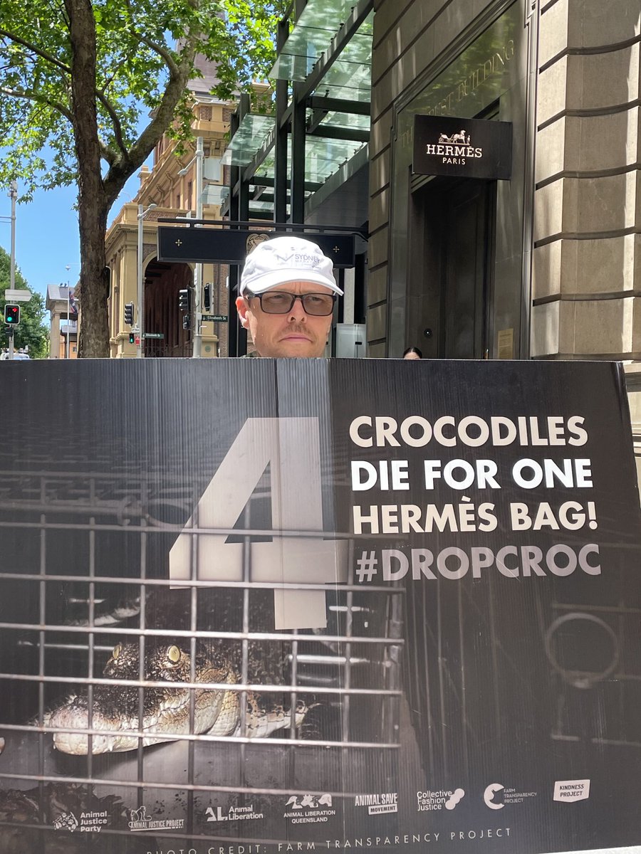 benhpearson's tweet photo. Outside โฆ@Hermes_Parisโฉ in Sydney, keeping the pressure on Hermes to #dropcroc https://t.co/ns579sKE1q