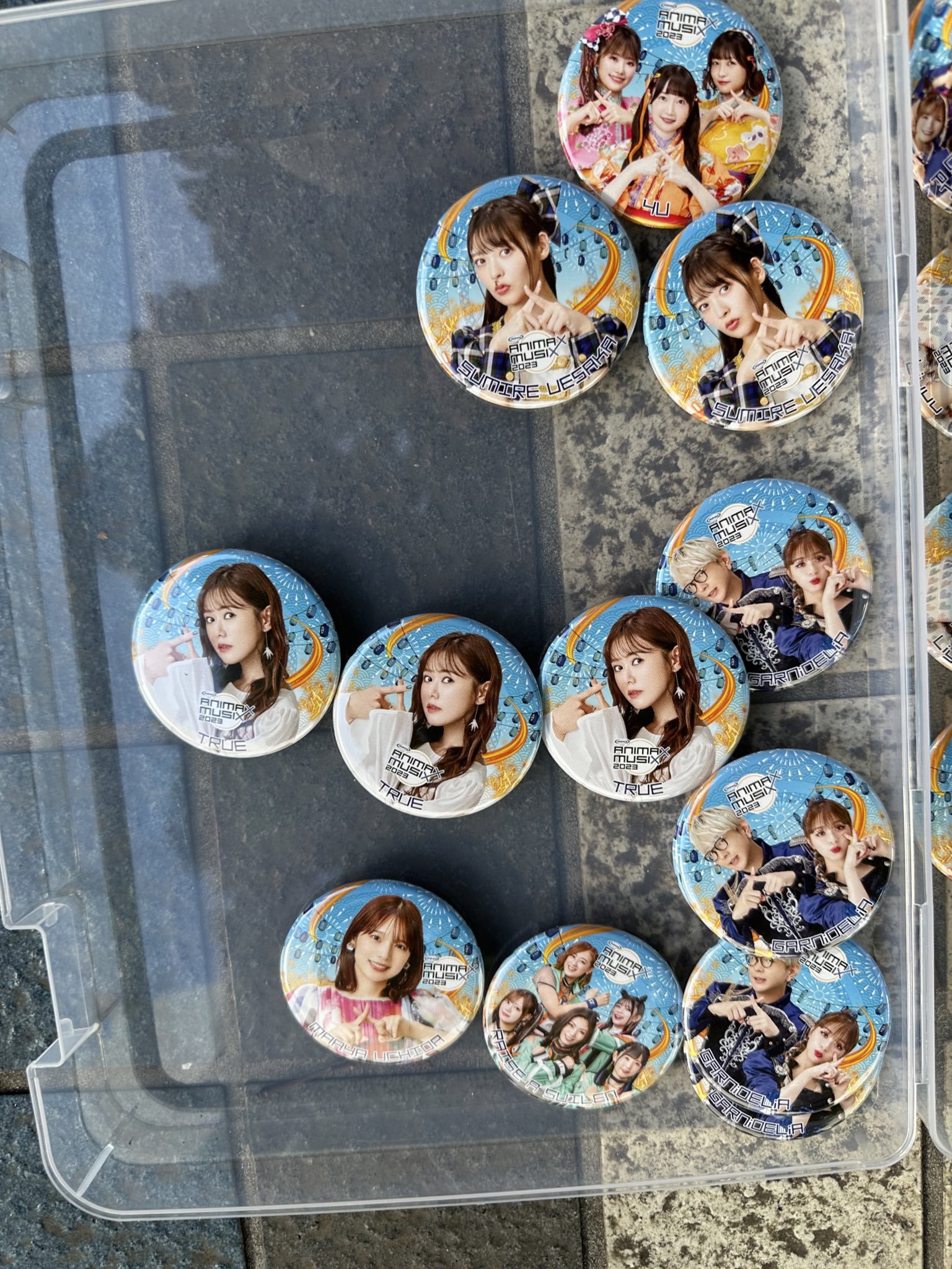 MyGO!!!!! 缶バッジ ANIMAX MUSIX アニサマ