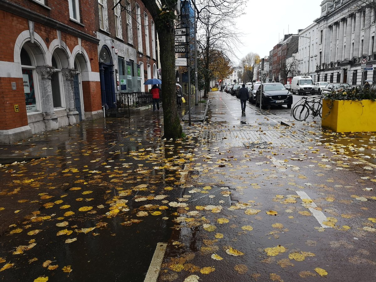 BillymacGill's tweet photo. STREET PHOTOGRAPHY CORK PHOTO COPYRIGHT BILLY macGill 17 /11/23..Rain Wind and Falling Leafs this November afternoon on the South Mall Cork today. #corkhidden #Corkhistory #cba #failteireland #irishexaminer #corkcitycouncil #corktoday #purecork #wearecork #photography #cars https://t.co/rrD0vFS5U4