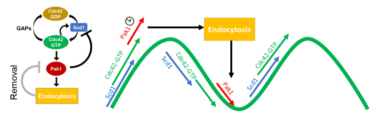 Marcus Harrell tweet media