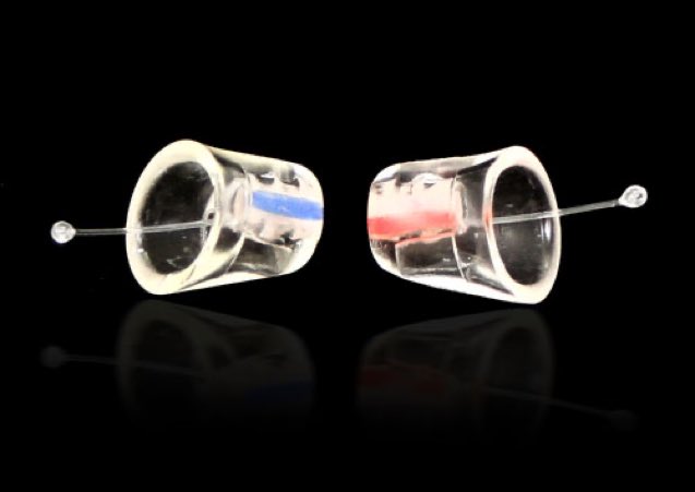 We have the perfect gift for musicians/music lovers. Protect your hearing with #earasers. Get them at avianguitars.ca