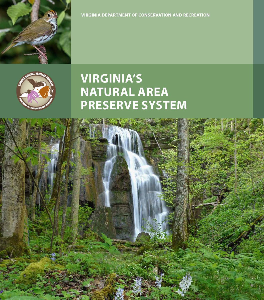Check out our recently updated #NaturalAreaPreserve guide: dcr.virginia.gov/natural-herita… It invites you to explore the 24 natural area preserves that offer public access. Which preserve will you visit next? #VisitVA #VAoutdoors @naturalareas