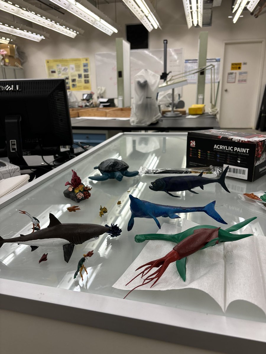spookyscience_'s tweet photo. Museum display for the Cretaceous Menagerie at @umanitobasci is a work in progress! So excited to do some cool paleoecology stuff with the Western Interior Seaway 👀🐠 https://t.co/5MrjqftCcI