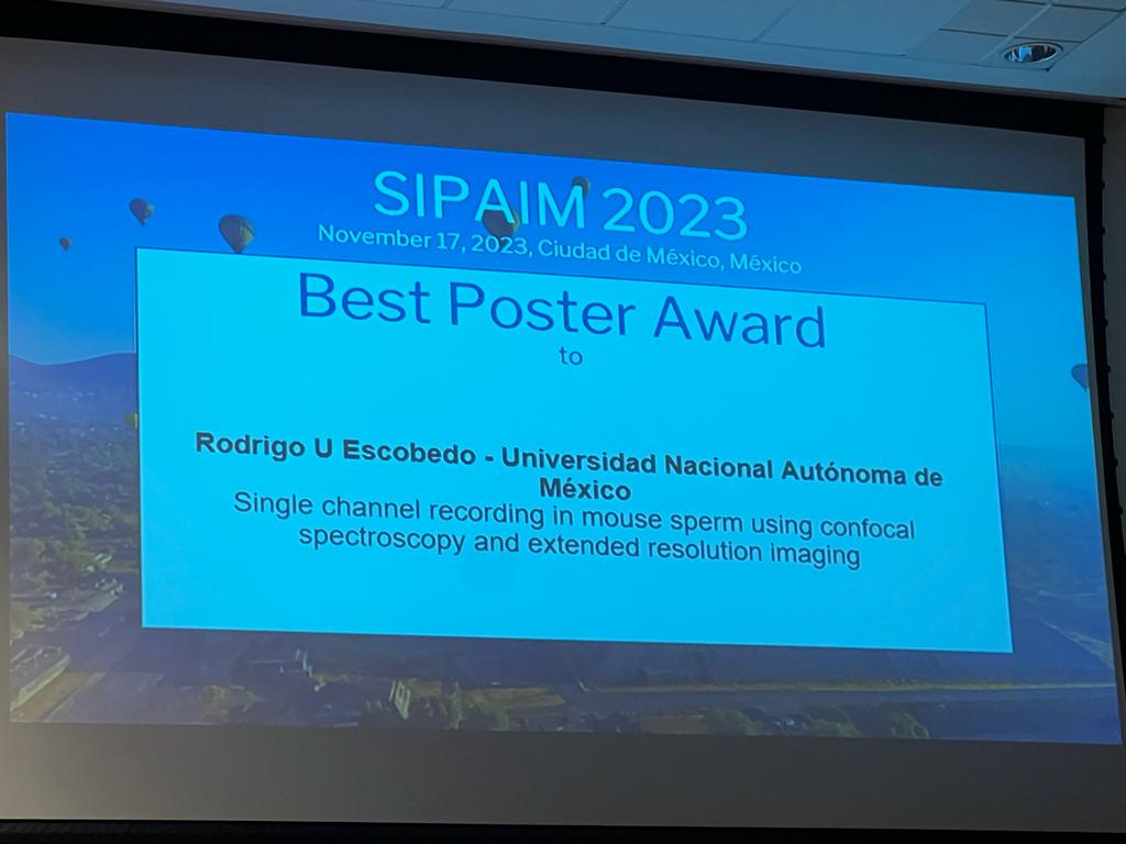 LNMA_MX's tweet photo. Huge congratulations to LMMA alumnus Rodrigo Escobedo for his Best Poster Award at #SIPAIM2023 for his project that combines spectroscopic and superresolution fluorescence imaging to characterise single ion-channel activity.

@SIPAIM_Society 
@ibt_unam https://t.co/7cNph10rdD