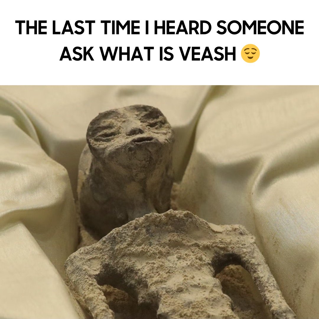 ash_swap's tweet photo. It's been a
long
long
long
long
time ago, you know 😂

#veASH #ASHWars https://t.co/Lz4jYzcLYN