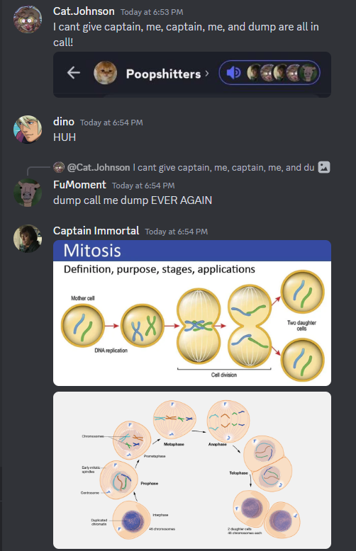 degendebate's tweet photo. @TouhouPosting @MedicPosting @Jazz_posting in this image https://t.co/jspWg9Uofe