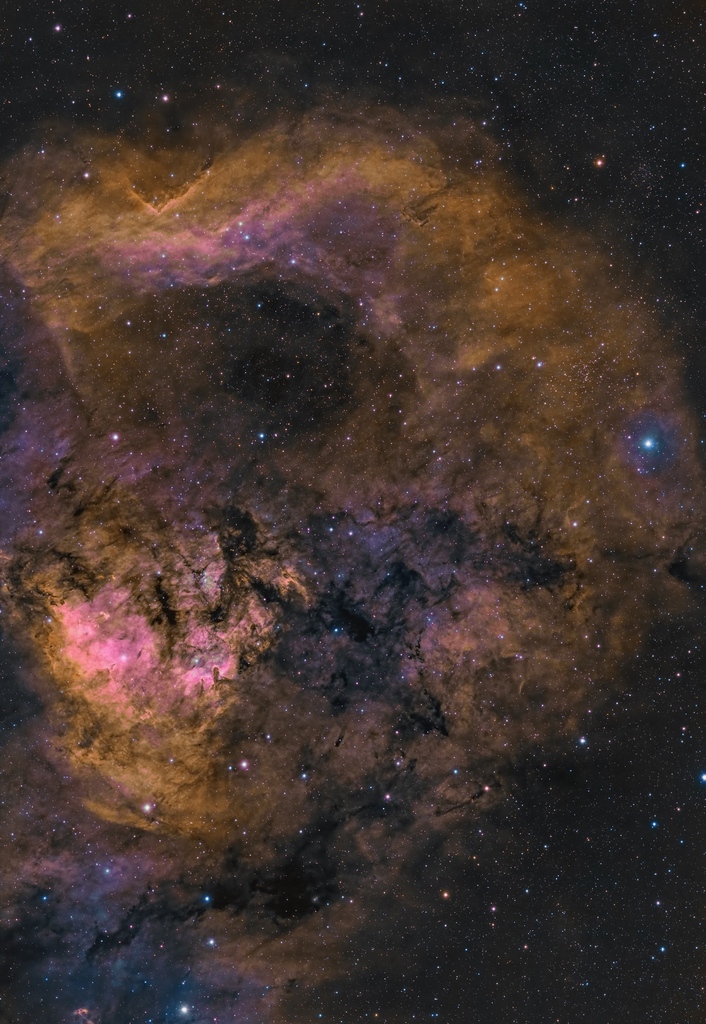 🔭✨ Capturing the cosmic beauty of NGC7822 from Long Beach! 🌌 Using the Advanced VX RASA 8 and StarSense Autoguider, Celestron employee Chris H. took over two nights to gather a total of 399 minutes (6.65 hours) of mesmerizing cosmic wonders. 📷✨ #Astrophotography #NGC7822